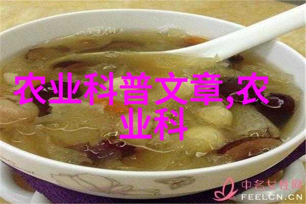 白茫茫冬日里的蔬菜奇迹