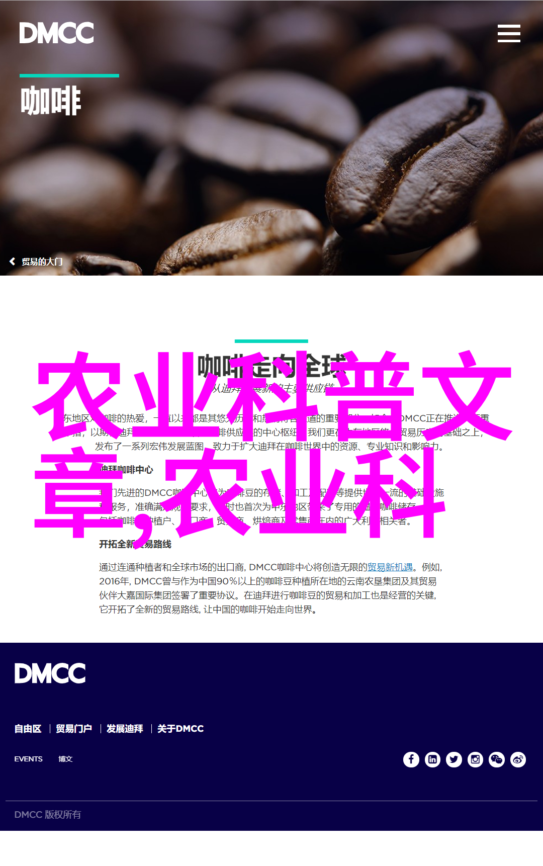 牛蛙养殖技术的培训我来教你怎么养出一池肥壮的牛蛙