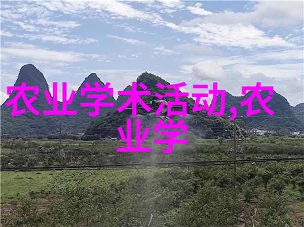 茶树的介绍咱们来聊聊这棵老实点的茶树吧