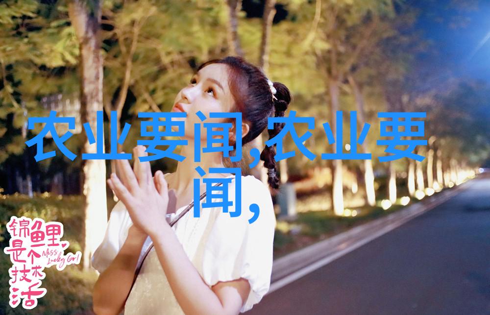 云南花卉批发基地在哪里-云南花海揭秘那些鲜花的源头