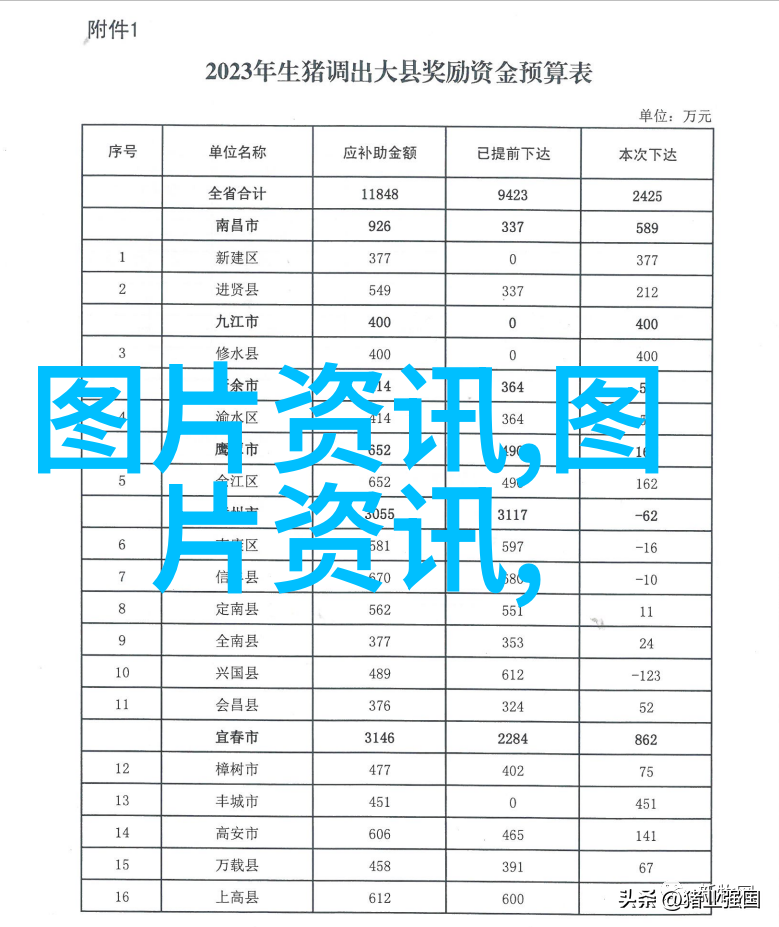 百万富翁的秘密如何从养鸽子中赚取巨额利润