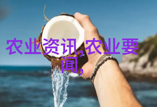 云南药材市场绿茵草海的收获季节