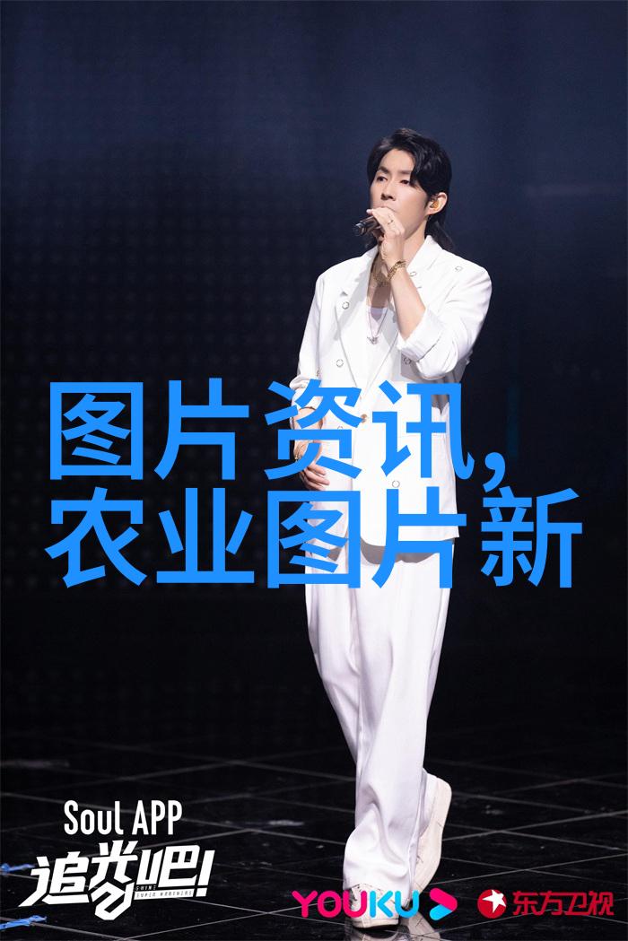 绽放的色彩鲜花唯美图像中的诗意瞬间