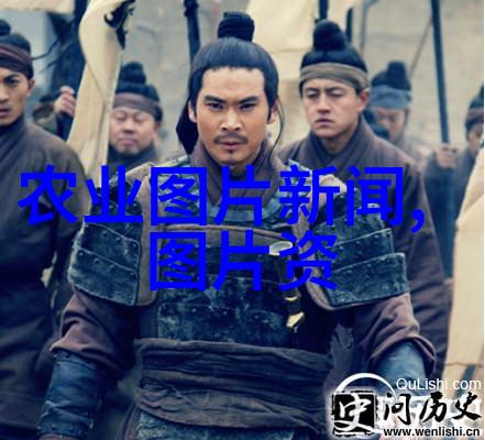 鸽子的选择与购买指南