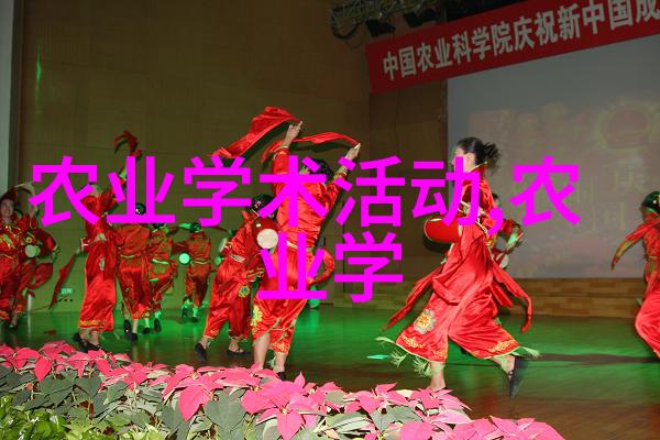 室内空气净化大师家庭可爱的小植物们