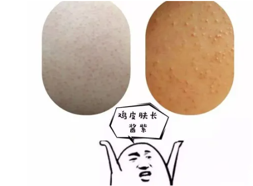花卉种植绽放生命的色彩