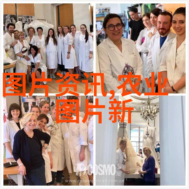 羊牧业一年利润潜力高效养殖技术与市场营销策略