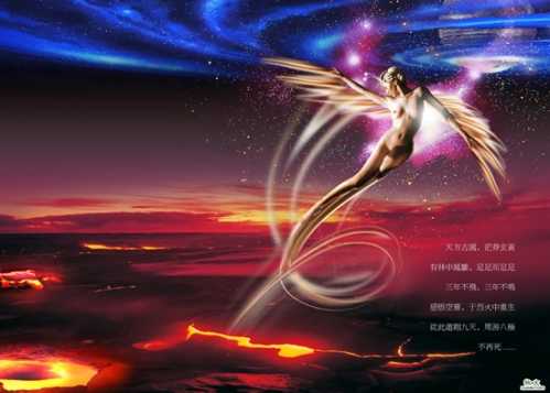 深宅秘密揭秘最耐阴的十大室内蔬菜