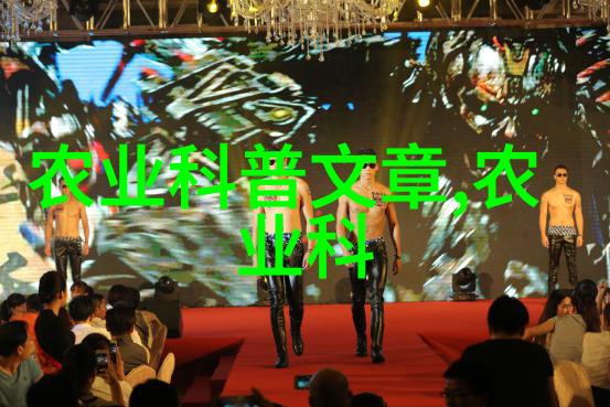 花园中的色彩盛宴精选花卉种植图片欣赏