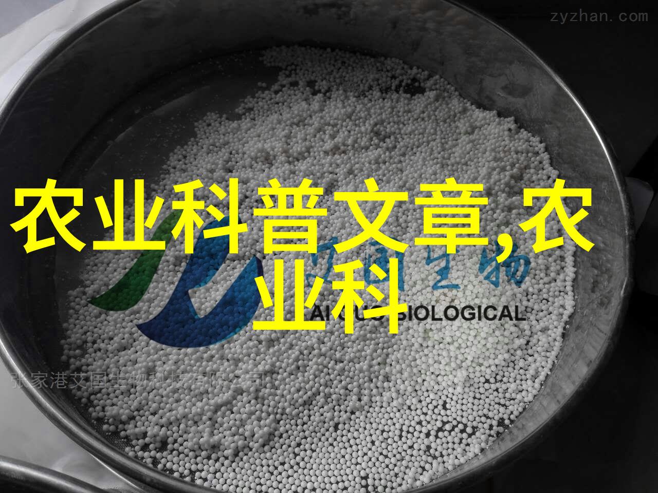 古典韵味与现代风尚探索中国传统和现代化的融合趋势