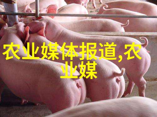 绿色矿山如何提高水平定向钻机的环保性能