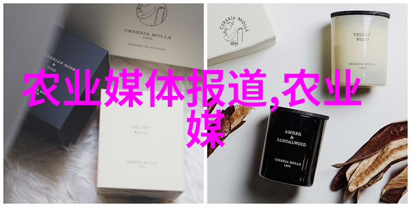 鄢陵苗木价格一览表专业种植业苗木品种大全
