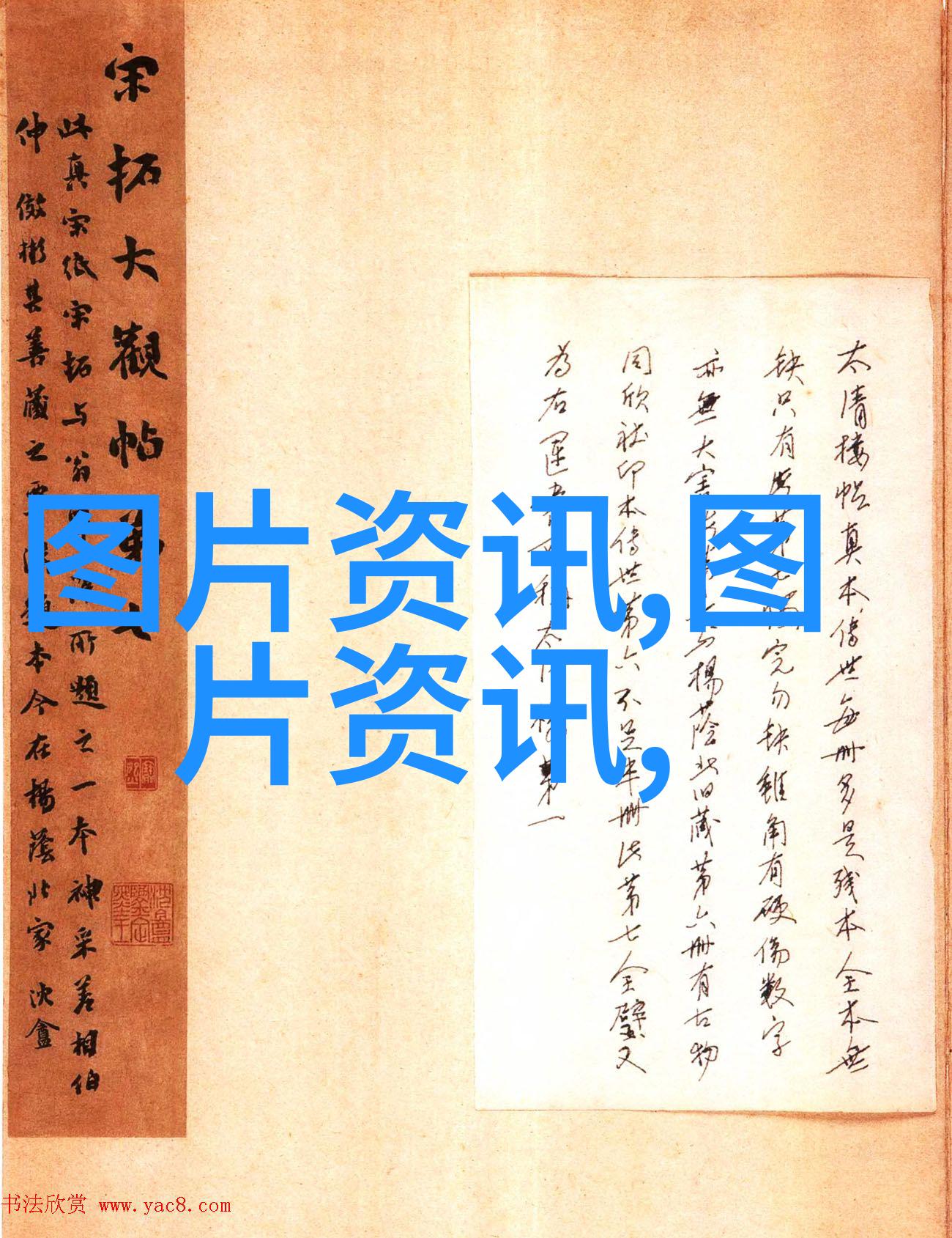 绿茶健康益处深度解析绿茶中的抗氧化素及其对身体健康的积极影响