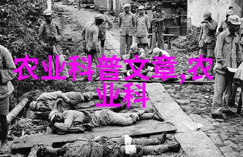 学术研究与社会实践中央民族大学校园项目展览