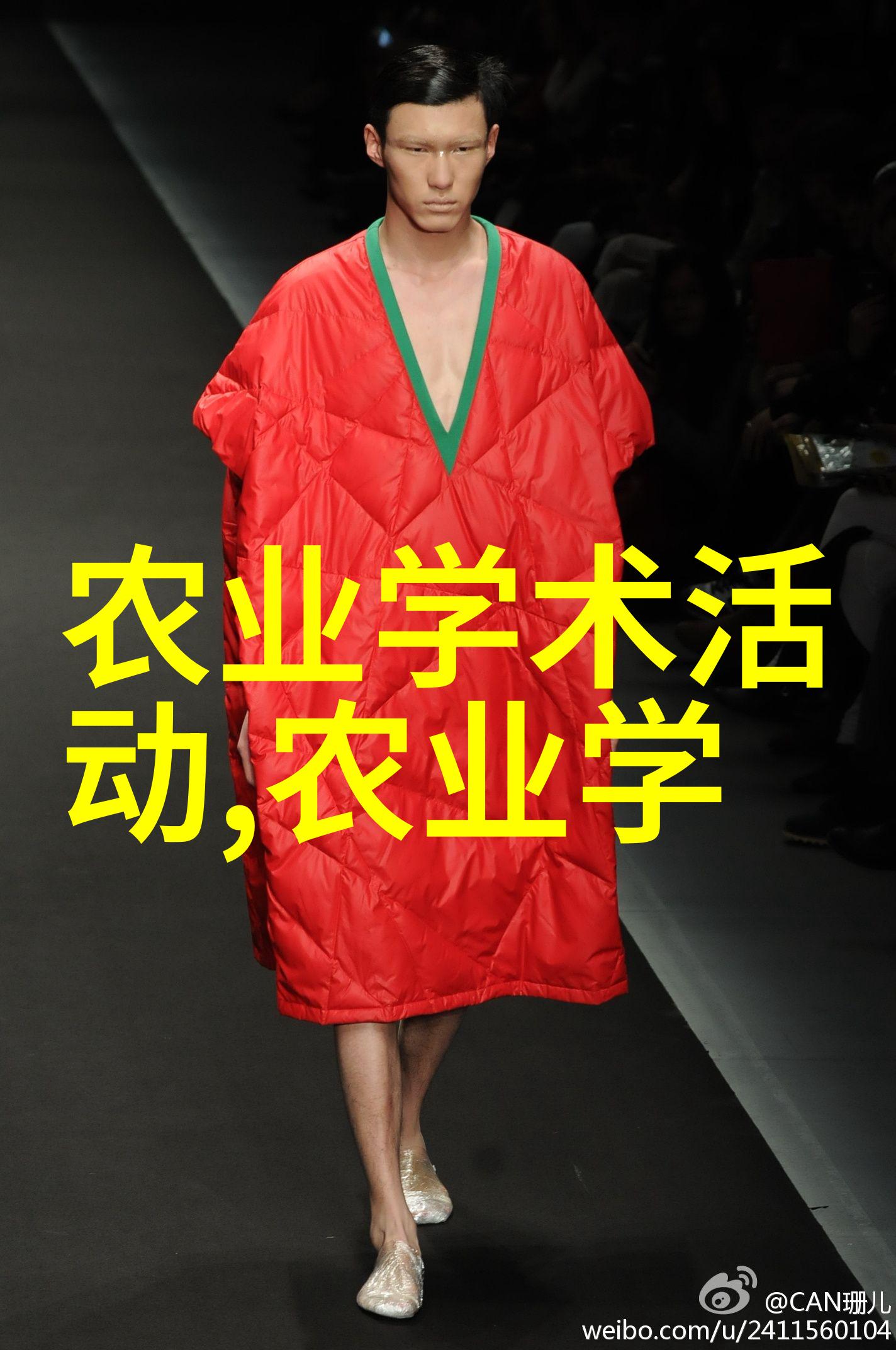 户外艺术品探索最佳十种适宜于阳台培育的植物