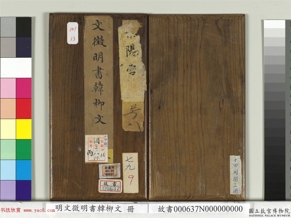 常见100种花卉木本植物美丽与生长的百科全书