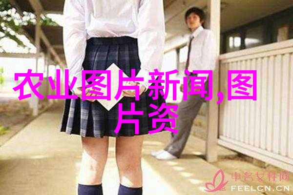 物流管理系统的未来发展趋势