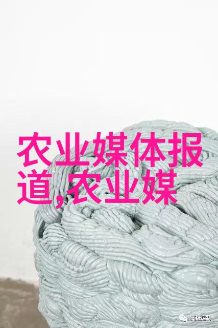 品茗哲思探索茶文化内涵与茶道精神的深邃之美
