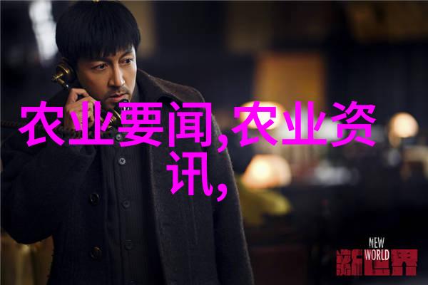 静心与品味茶道所传递的内在价值是什么