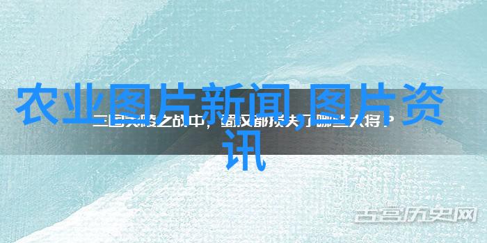 省农技协专家团到我县开展培训活动