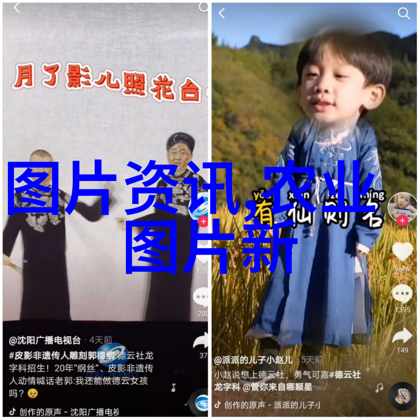 花朵形态学解析各种花型的美妙世界