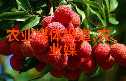 中央民族大学 - 多元文化共融的学术殿堂探索中央民族大学的教育特色与发展历程
