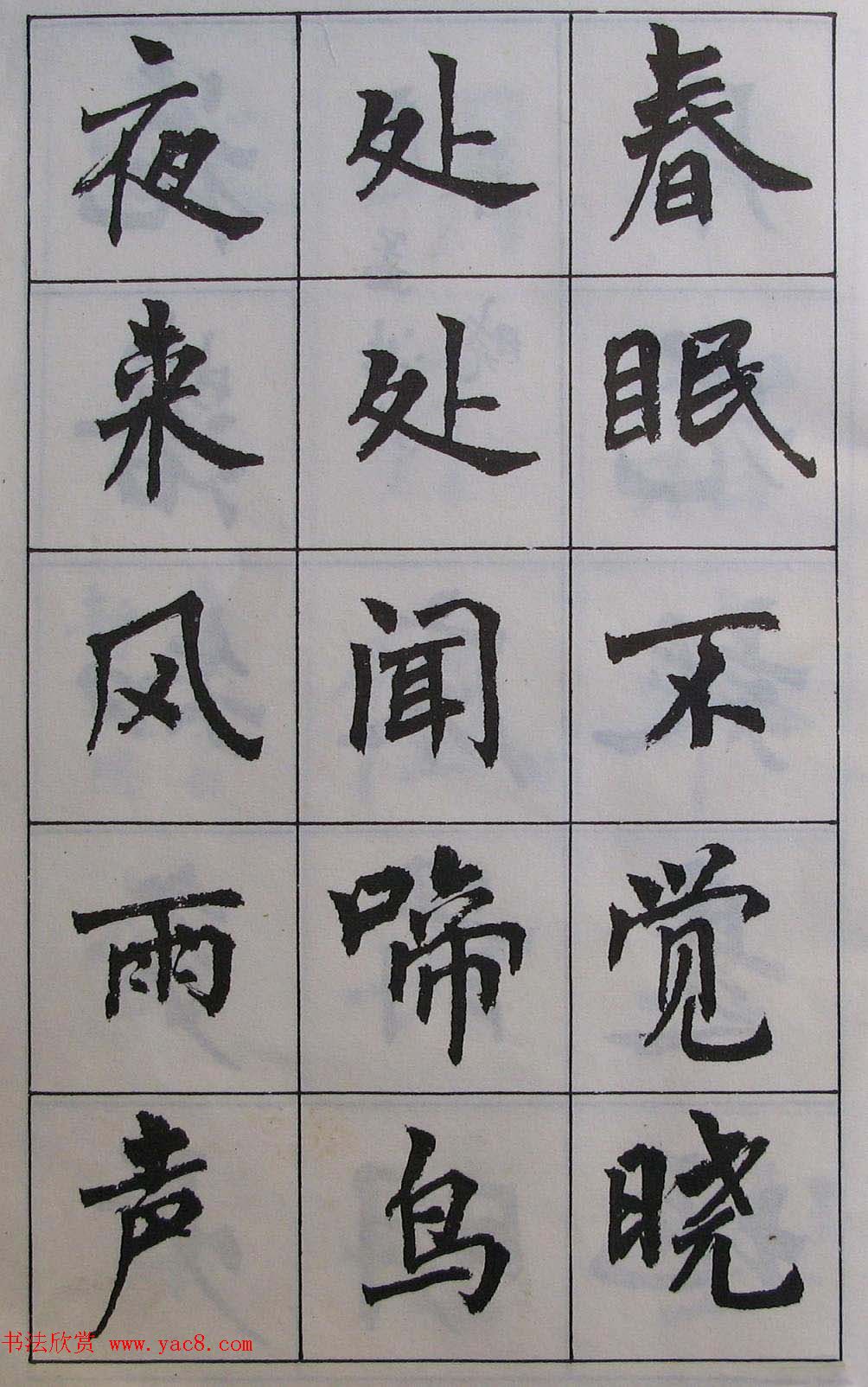花卉批发市场中哪些是受季节性影响较大的品种