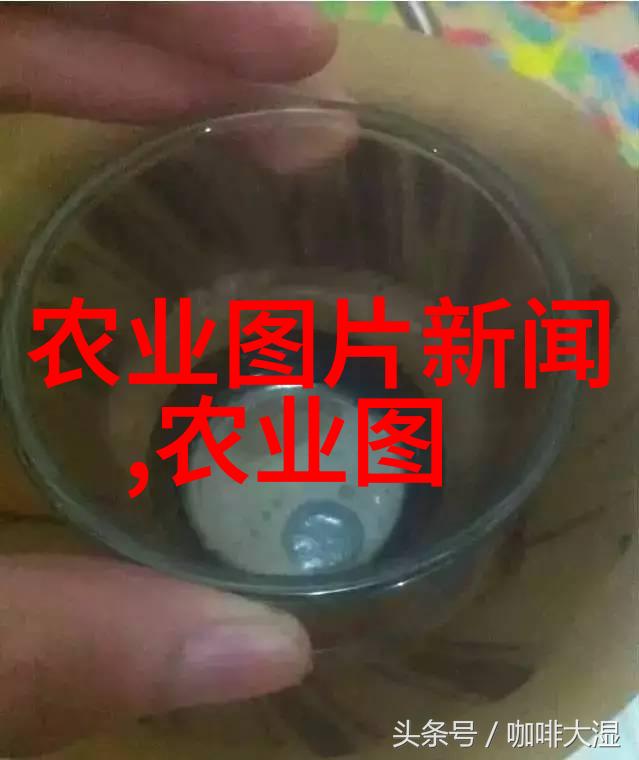 黄姜种植大师从地道中药到桌上菜
