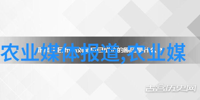 传统养生法则女人怎么样才能从喝茶中获得更多好处