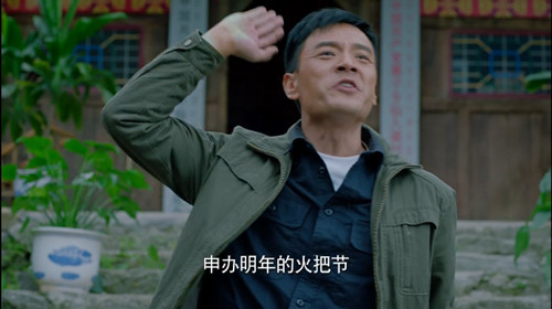 翠绿盛开金叶复叶槭的魅力与市场动态