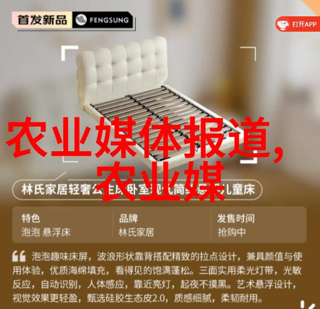 水果与种子的美丽图集色彩斑斓的自然奇观