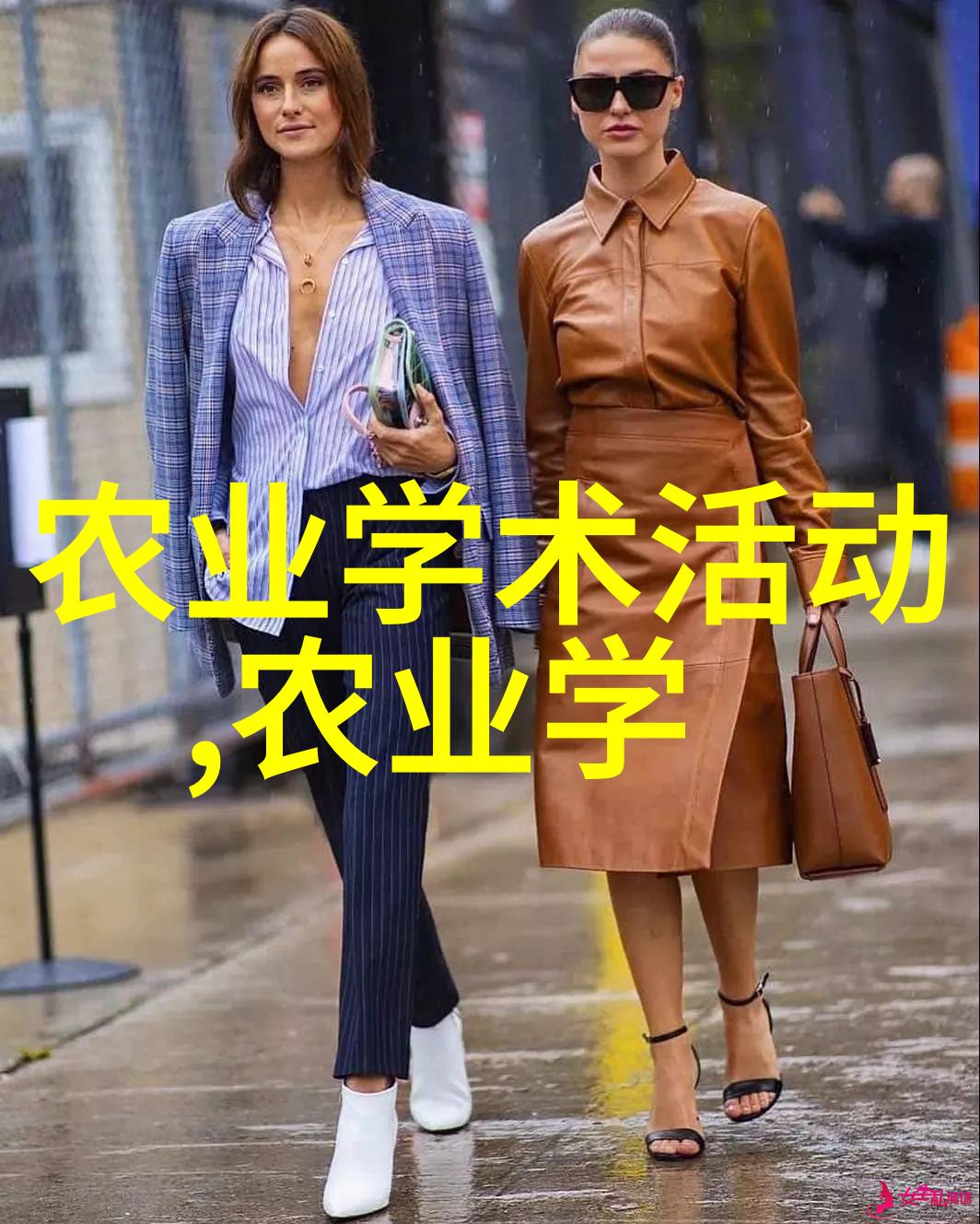 花间静默与园中争艳反差之美的种植艺术