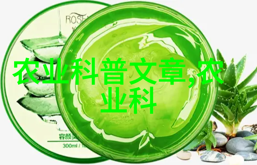 车厘子我的夏日甜蜜故事