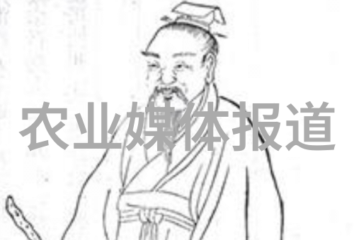 中药材价格之王最贵中药材排名