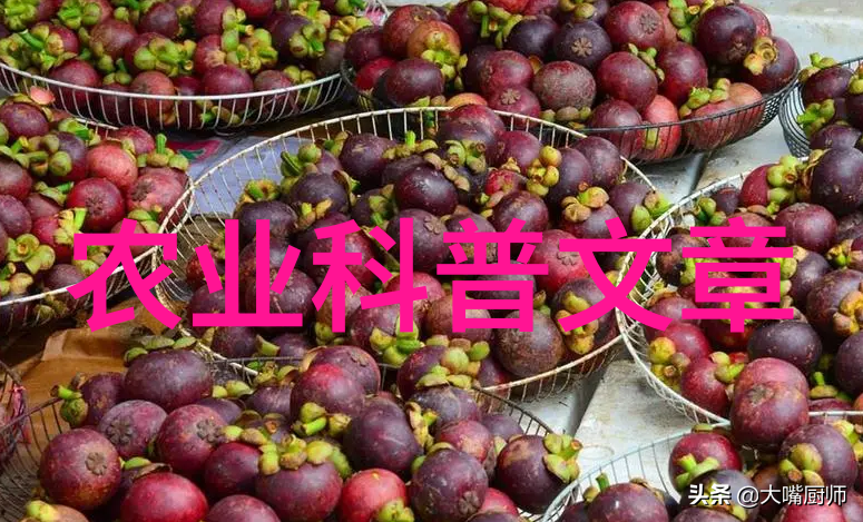 农村失地农民社保如何交