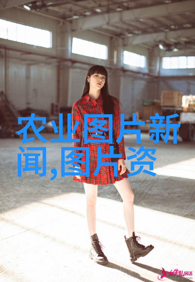 玉米秸秆打包机让你的农场变身为玉米之城的守护者