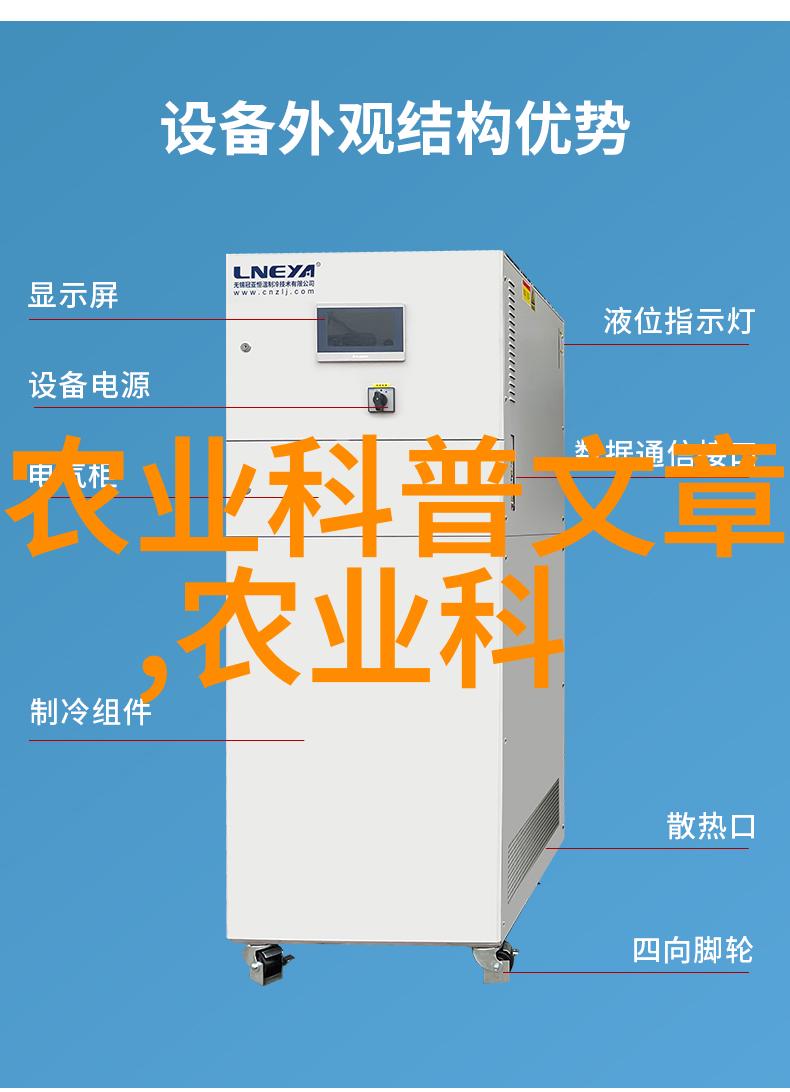 金线莲的秘密探索这朵花的种植艺术与文化
