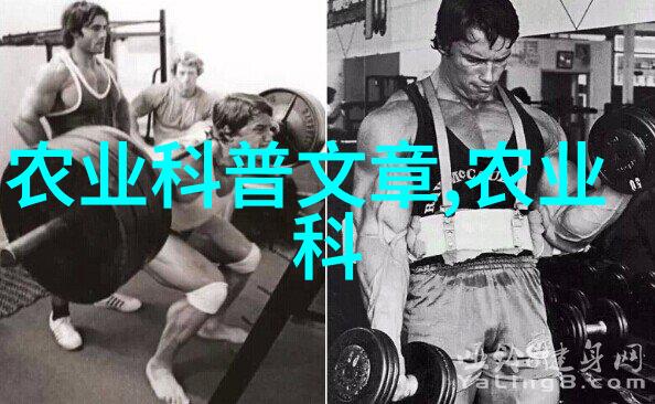 花盆里的生长秘密如何在小空间种出丰收菜园