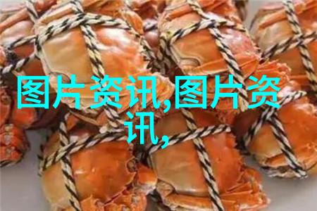 珍稀植物-20000一斤金线莲的传奇与价值