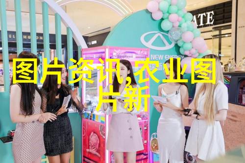 羊群管理与饲养技巧探究