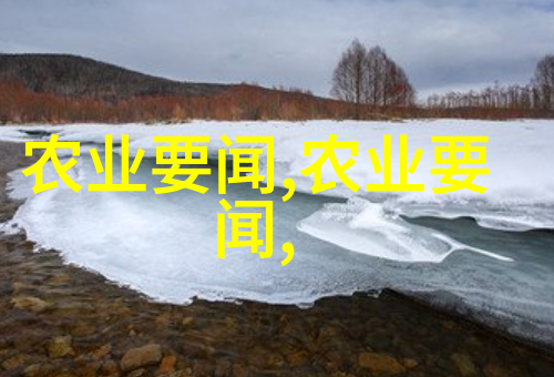 茶叶可以吃吗有什么功效我是不是能随便拿一包泡一杯就得了