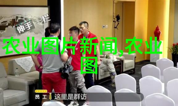 中国农业信息网官方网站丰收的智慧  数字时代下的农耕新篇章
