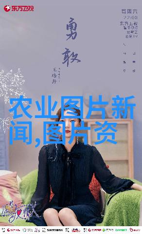 水土保持学报我是如何在山沟沟里种出一片绿洲的