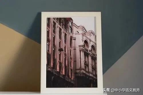 秋意浓时的园艺宠儿五角枫的18公分迷人故事