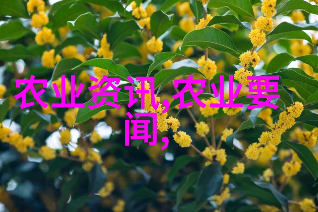我和豌豆的故事豌豆你怎么这么可爱