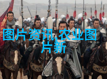 西北苗木网求购寻找那片神秘的绿意盎然