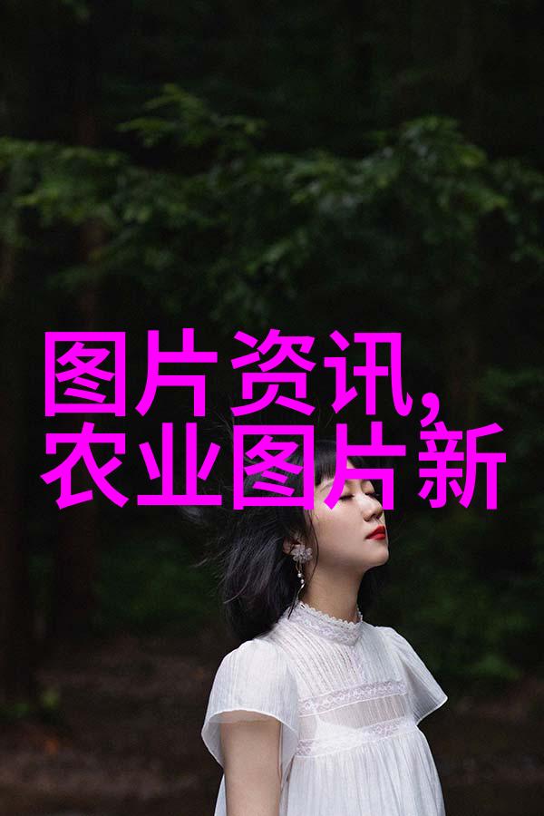 无土大棚蔬菜种植流程我来教你怎么在家里也能做个小蔬菜王