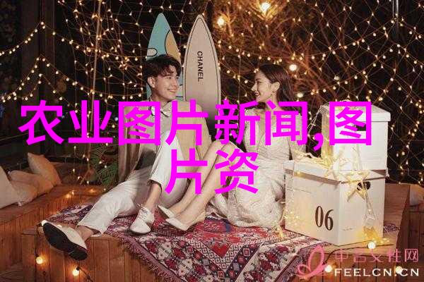 2022养殖业什么最赚钱农村我在山沟里种鹅年底拿回家就富了