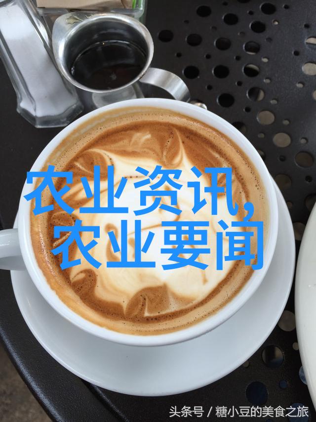 南方热土探秘适合种植的名贵药材