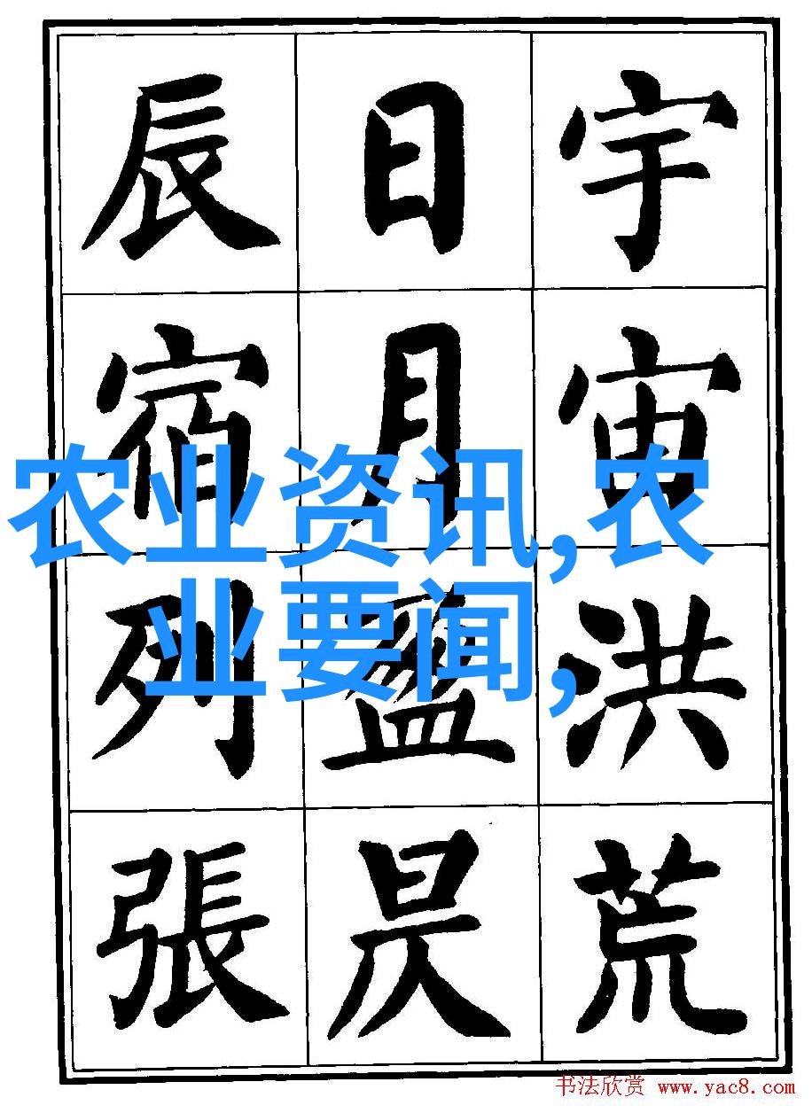 秋日花韵叶舞轻盈色彩交响